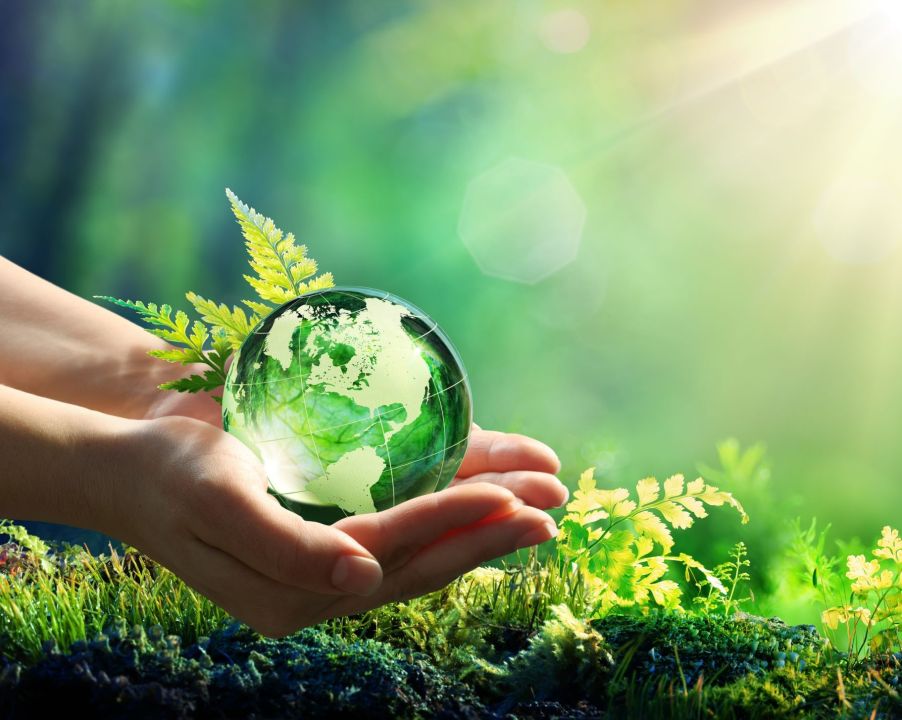 sustainability